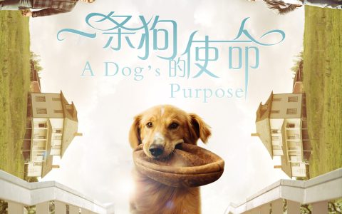 一条狗的使命 A Dog's Purpose (2017) 电影资源下载