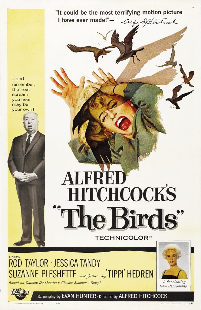 群鸟 The Birds (1963) 电影网盘资源下载