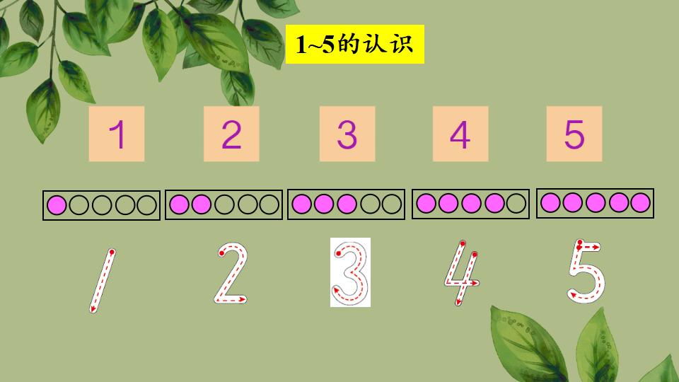 一年级五以内数的认识《练一练》PPT课件（2024年秋人教版）共22页
