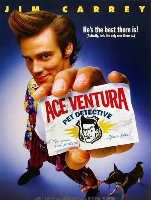 神探飞机头 Ace Ventura: Pet Detective (1994) 电影百度网盘资源高清下载