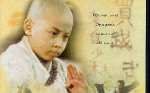 龙在少林 龍在少林 (1996) 电影百度网盘资源高清下载