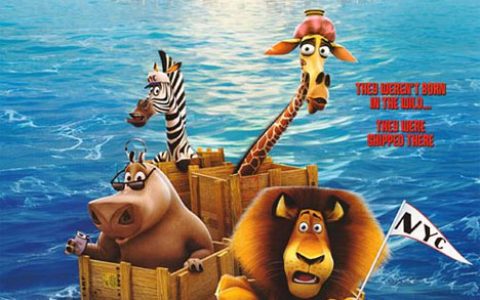 马达加斯加 Madagascar (2005) 电影百度网盘资源高清下载