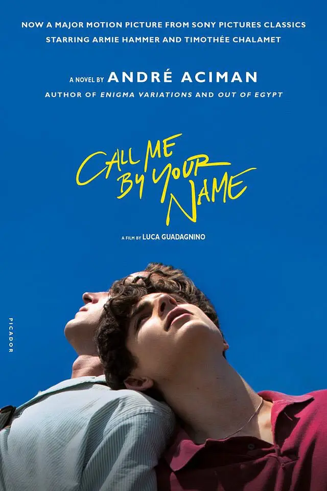 请以你的名字呼唤我 Call Me by Your Name (2017) 电影百度网盘资源高清下载