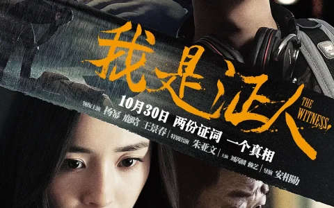 我是证人 (2015) 电影百度网盘资源高清下载