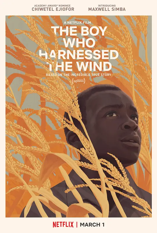 驭风男孩 The Boy Who Harnessed the Wind (2019) 电影百度网盘资源高清下载