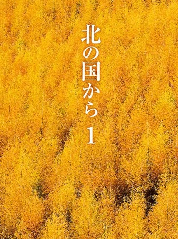 北国之恋 北の国から (1981) 全24集高清网盘资源下载